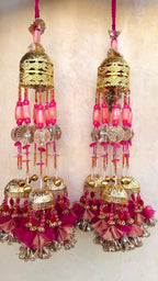 Paro Kaleera